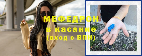 шишки Магас