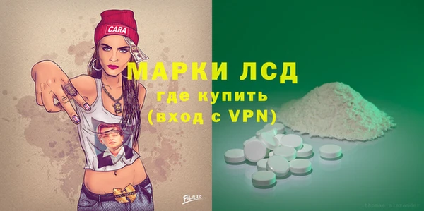 шишки Магас