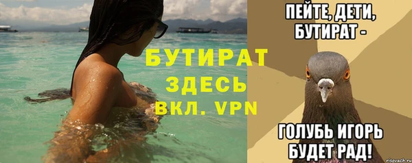 шишки Магас