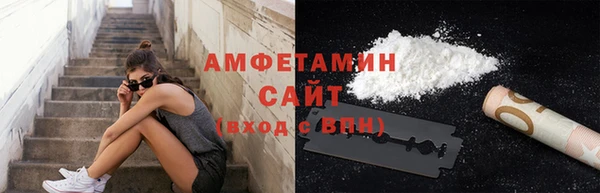 шишки Магас