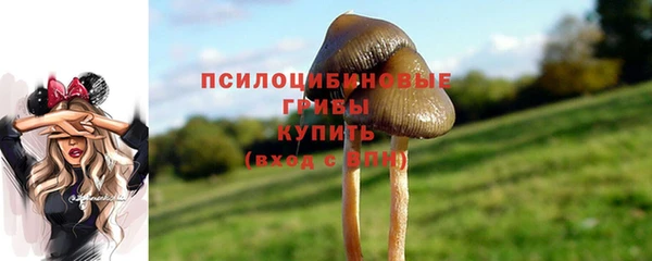 шишки Магас