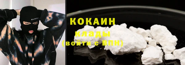 стаф Магадан
