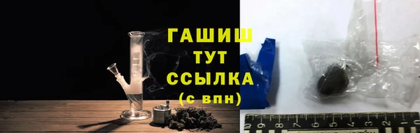 шишки Магас