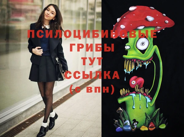 мет Медвежьегорск